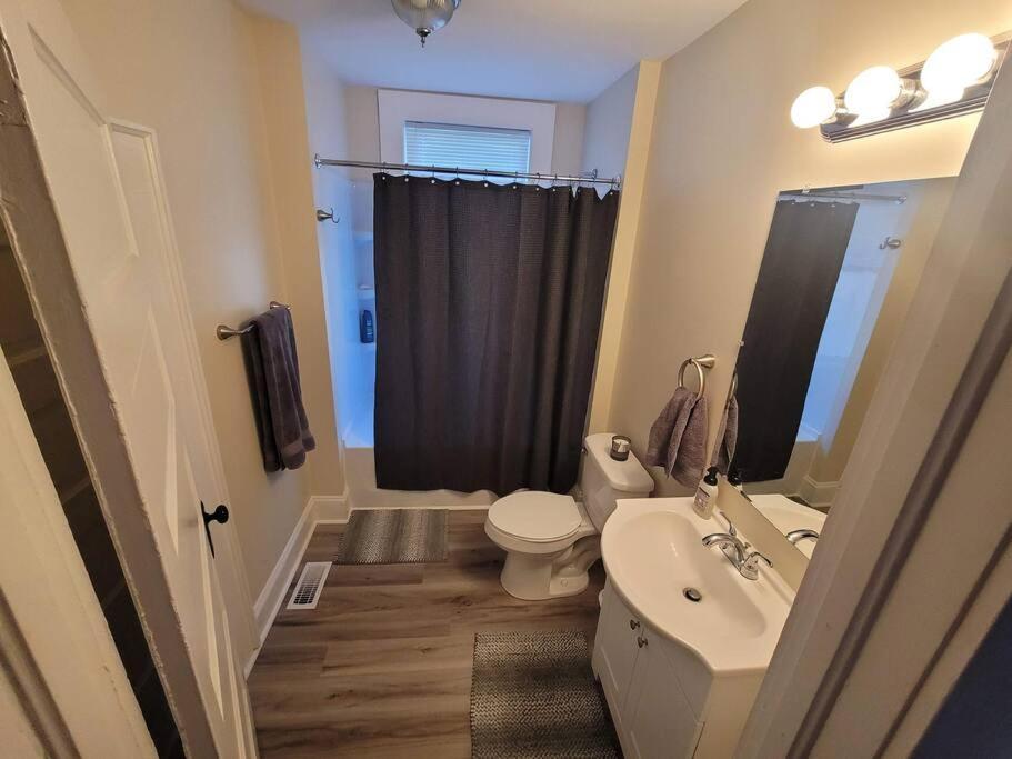 Cozy Swamp Rabbit - Sans Souci Greenville Furman Extérieur photo