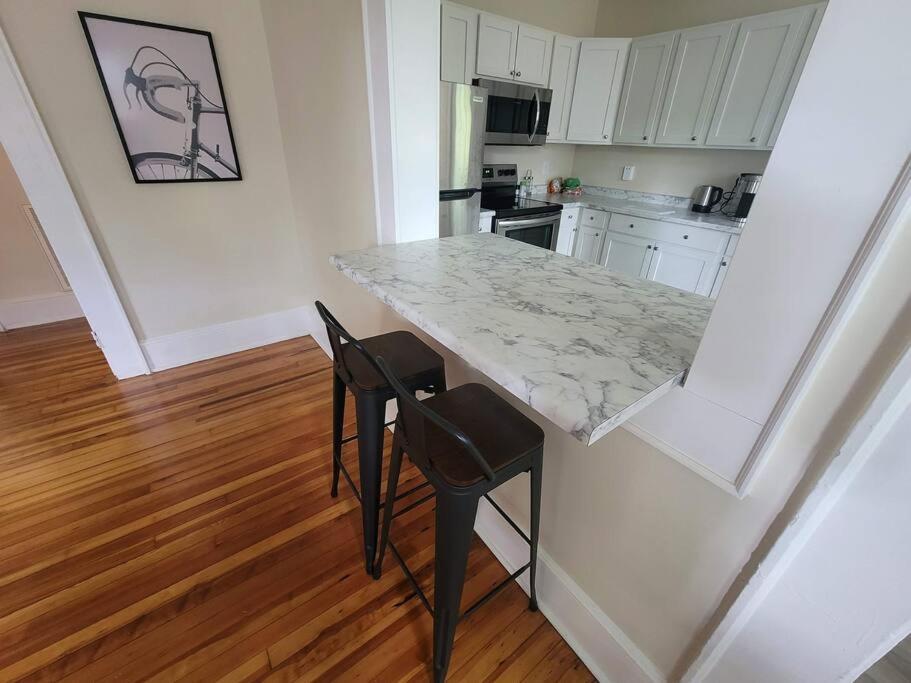 Cozy Swamp Rabbit - Sans Souci Greenville Furman Extérieur photo